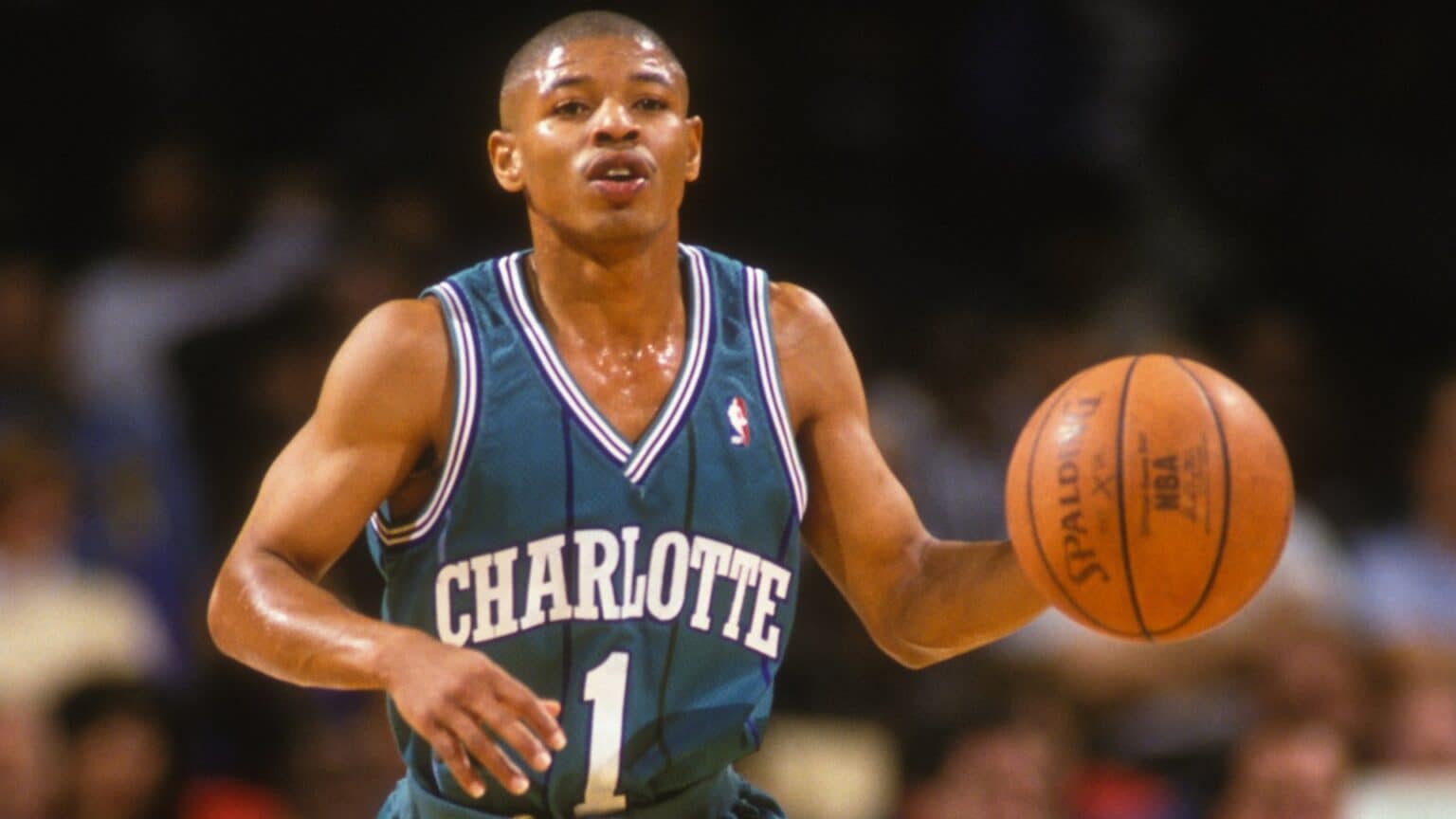 Charlotte Hornets single season assists per game leaders | NBA.com