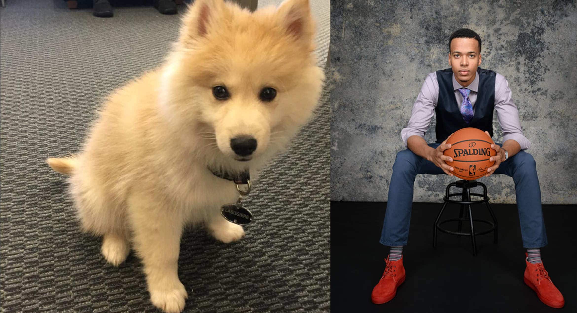 Kings Q&A Darrick Martin