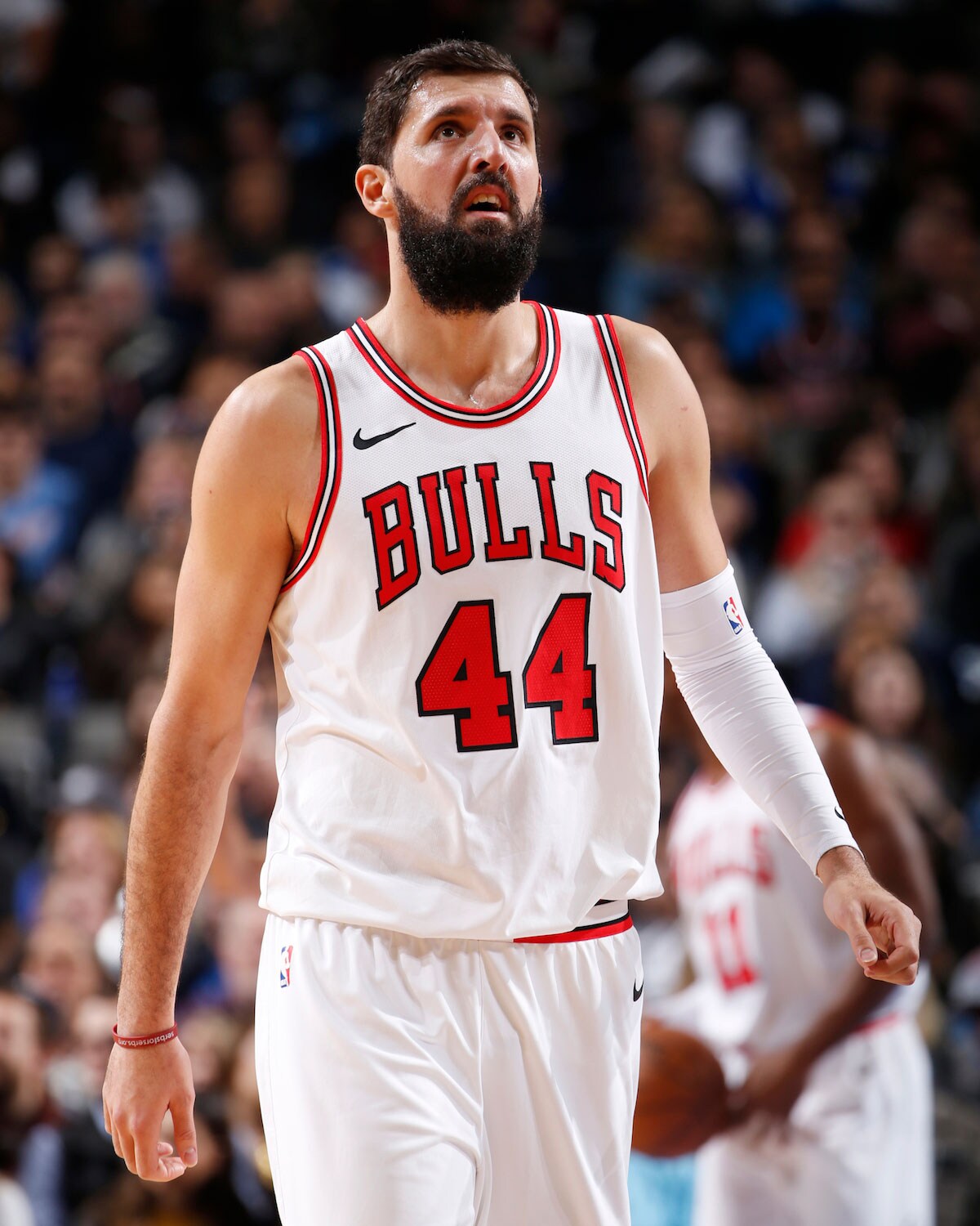 Nikola Mirotic