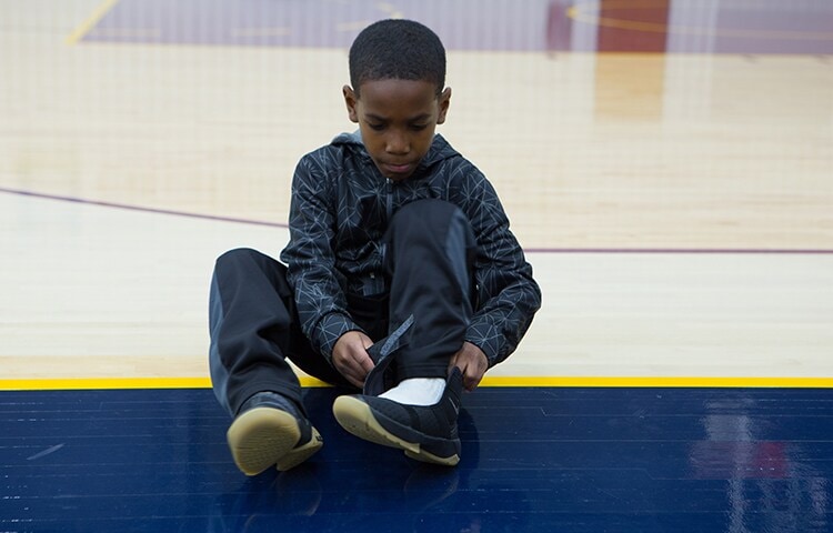 lebron james flyease