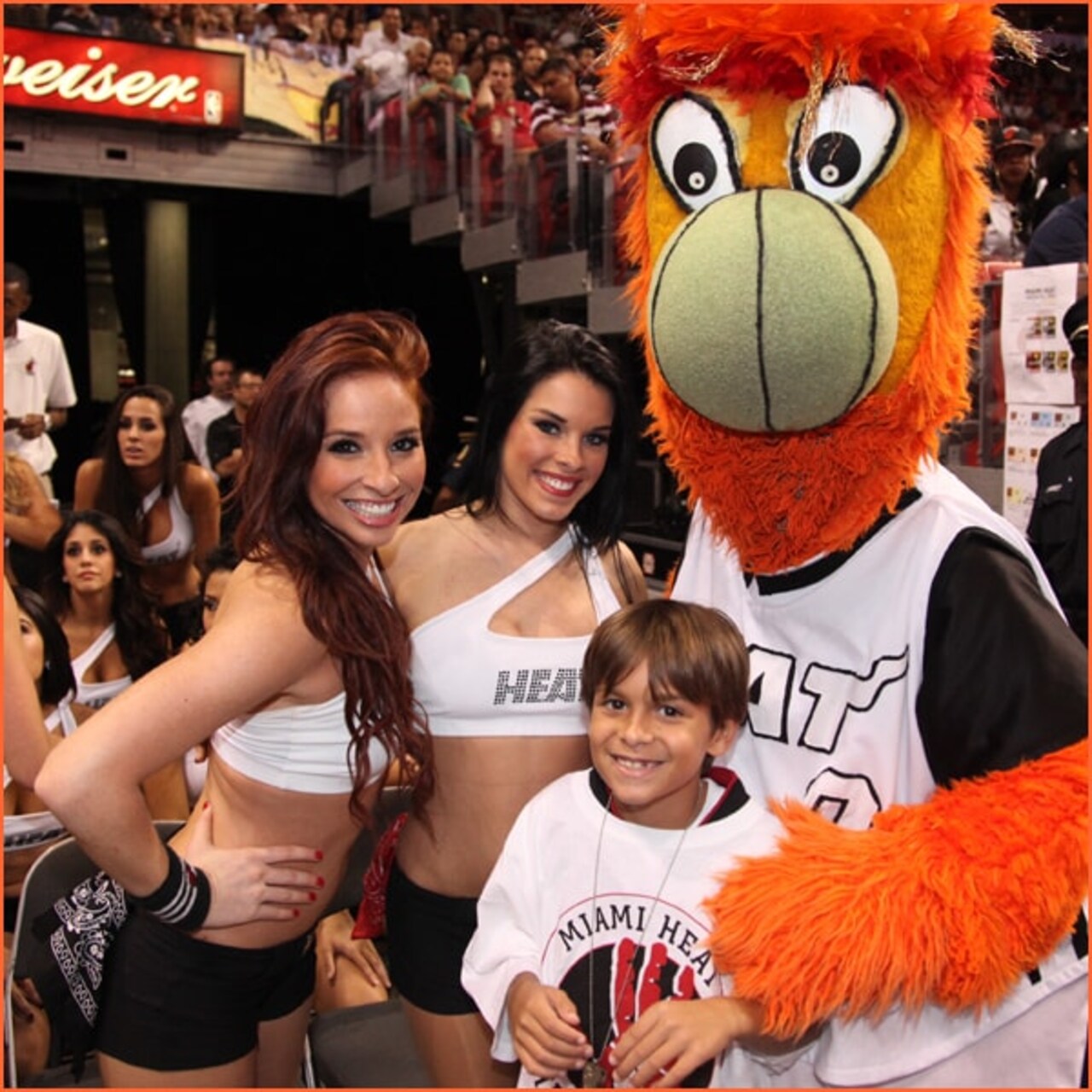 2012-13 Dancer Gallery One | Miami Heat