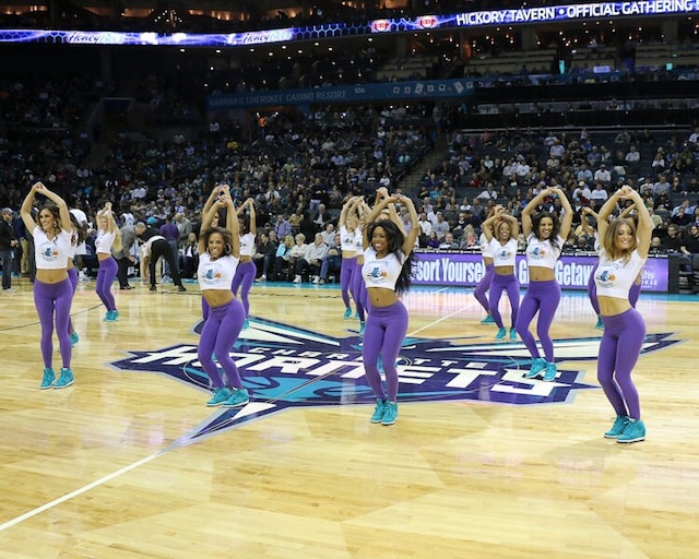 Honey Bees November 2014 Part 2 Photo Gallery Nba