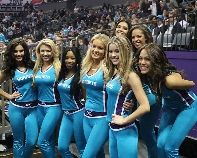 Honey Bees January 2015 Part 2 Photo Gallery Nba