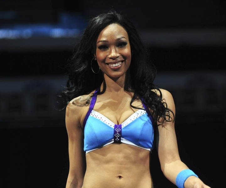 2018 Honey Bee | Jessica Grace | Charlotte Hornets