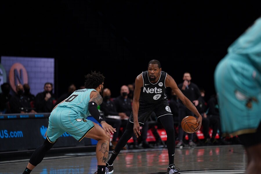 Gallery Nets vs. Photo Gallery