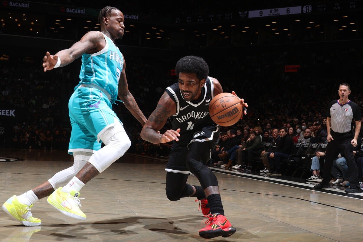 Gallery Nets vs. Photo Gallery