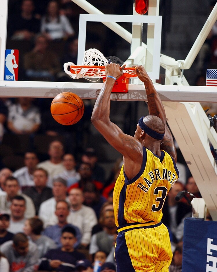 Al Harrington Career Gallery Photo Gallery | NBA.com