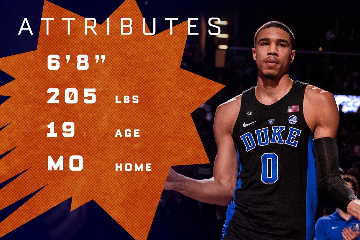 Jayson Tatum Draft Profile & Stats Photo Gallery