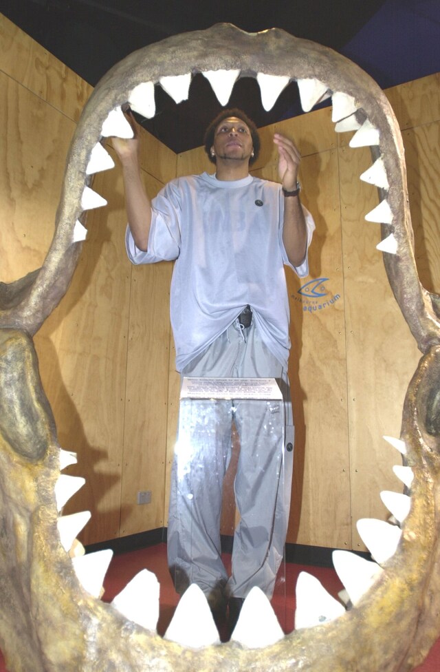 Through The Years Shawn Marion Photo Gallery