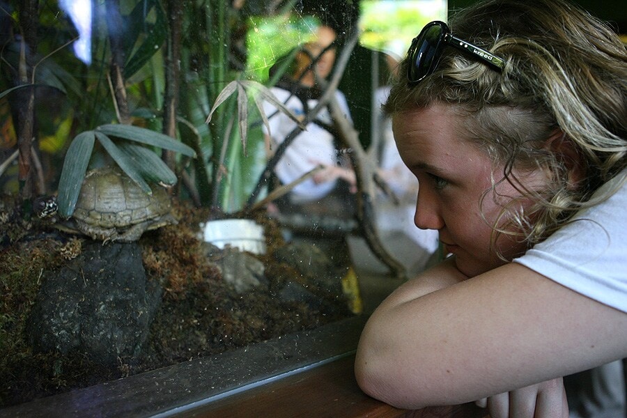 Learning without limits at the oakland zoo presented by abd golden