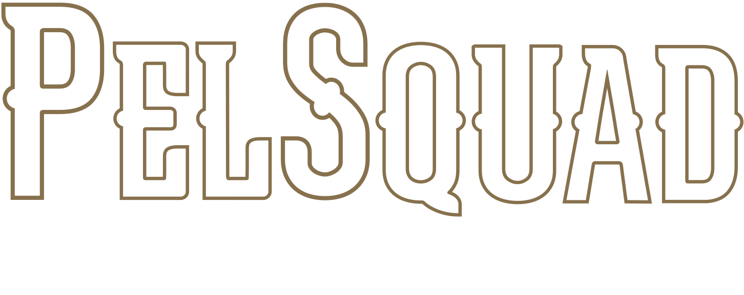 PelSquad - New Orleans Pelicans Entertainment Team