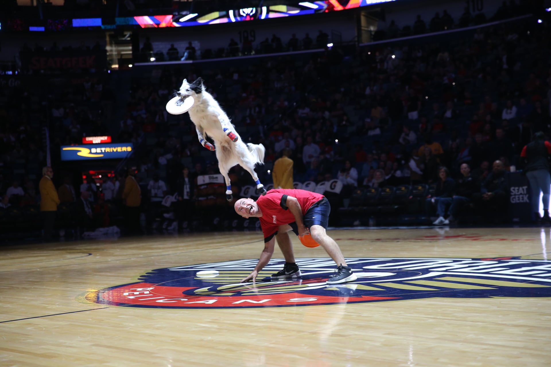 Photos: Pelicans vs. Raptors | Fans and Entertainment 11/30/22 Photo ...