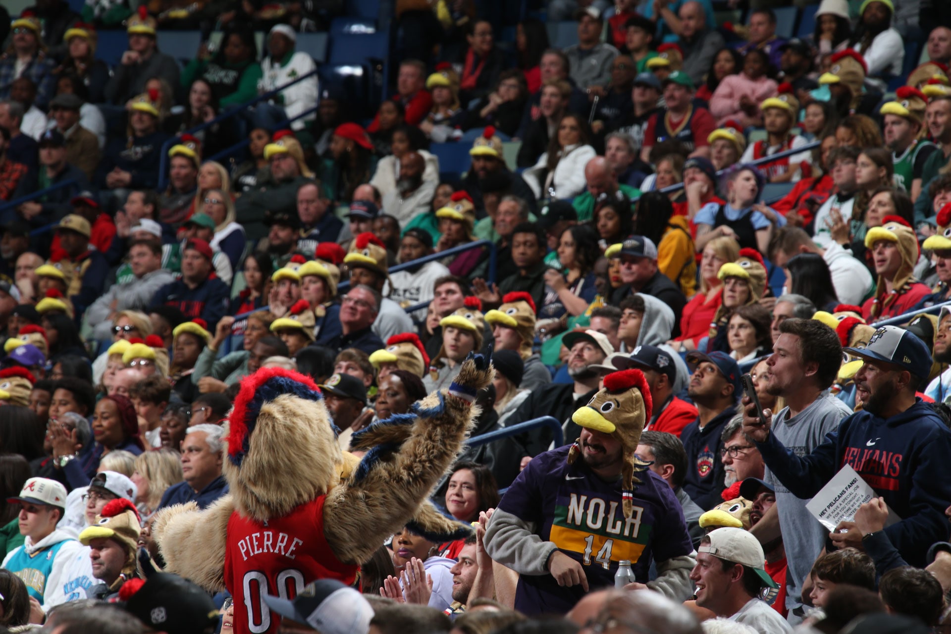 pelicans pierre hat