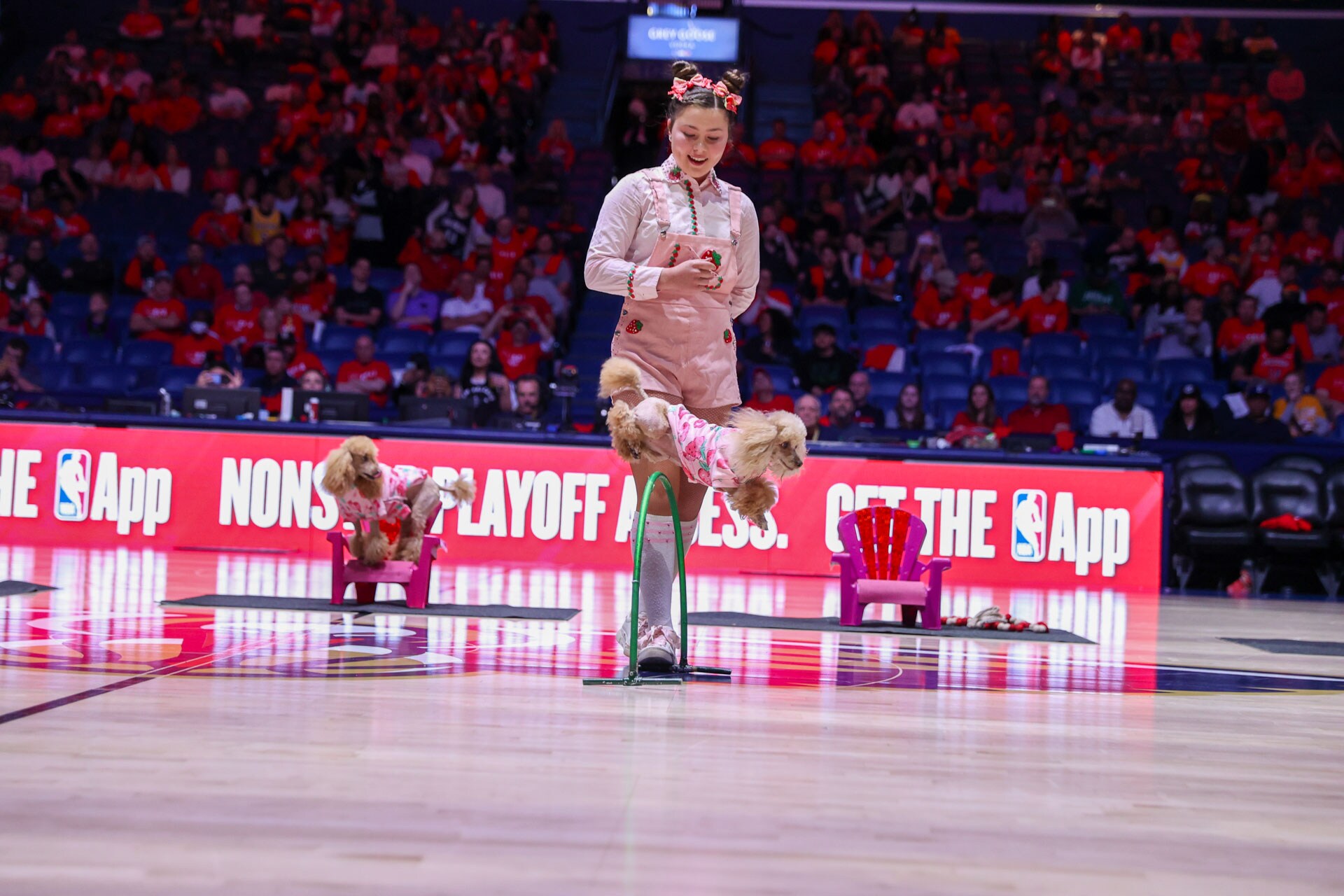 Photos: Pelicans vs. Lakers NBA Play-In Tournament Game Fans