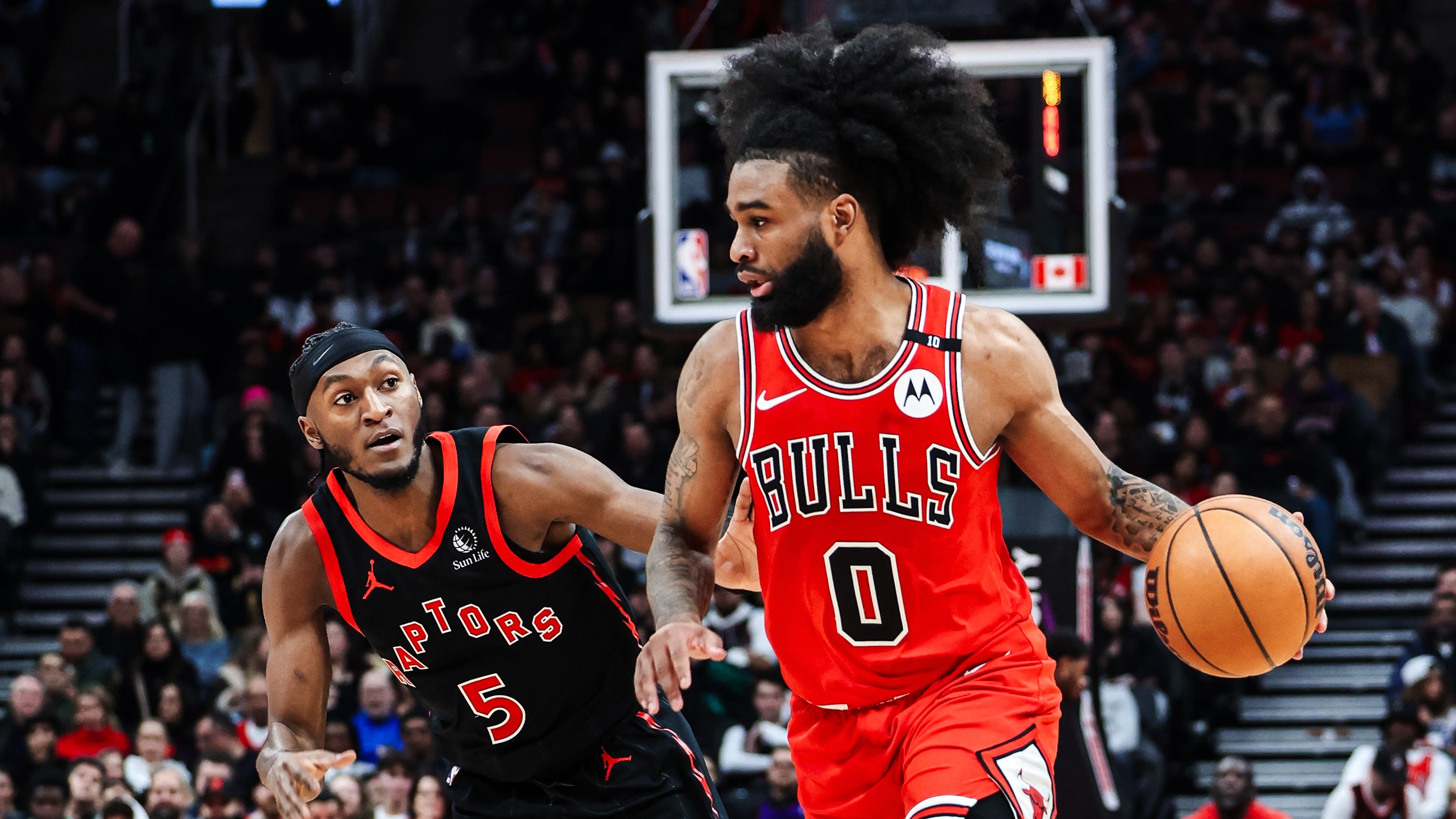 Balanced offensive attack carries Bulls past Raptors, Coby White leads ...
