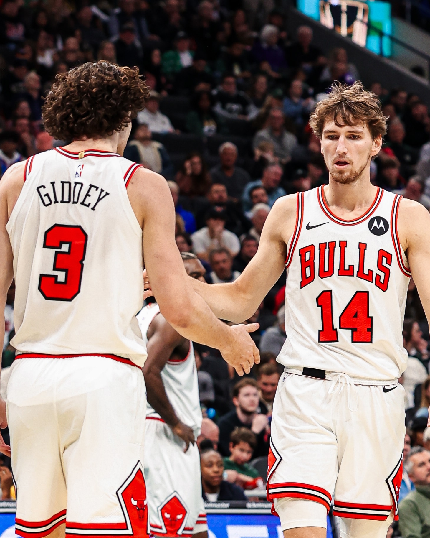 Bulls outshot by Bucks, fall to 6-2 on the season and 1-1 in NBA Cup |  Chicago Bulls