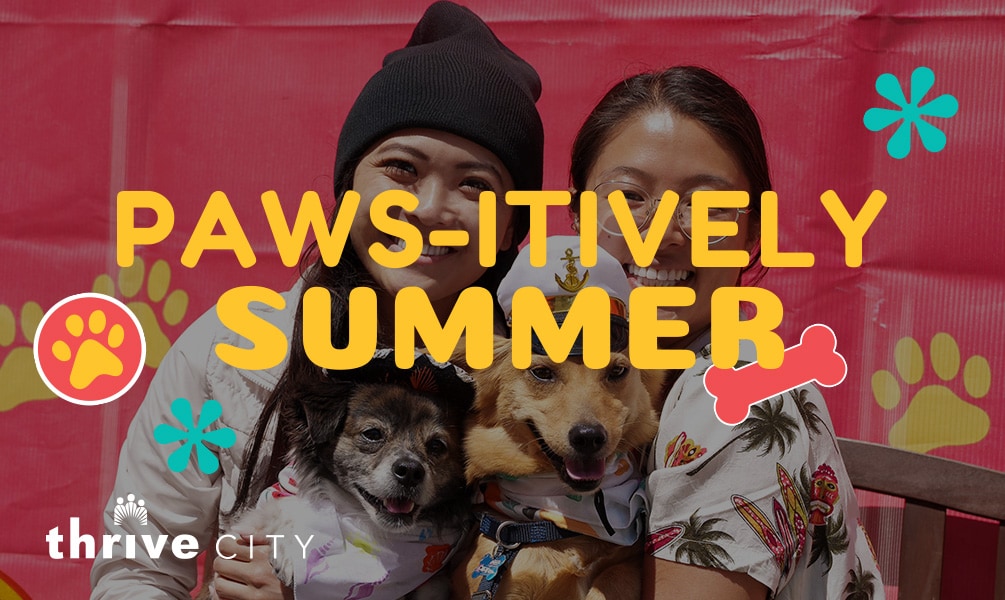 Paws-itively Summer