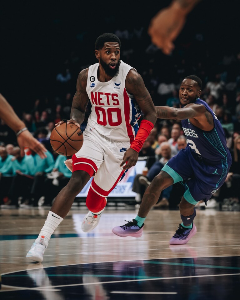 Gallery Nets vs. Photo Gallery