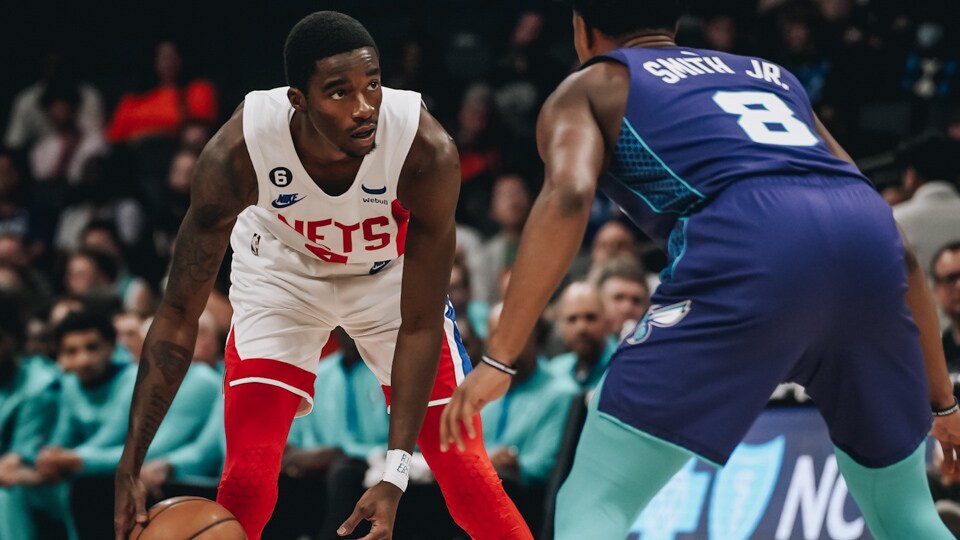 Gallery Nets vs. Photo Gallery