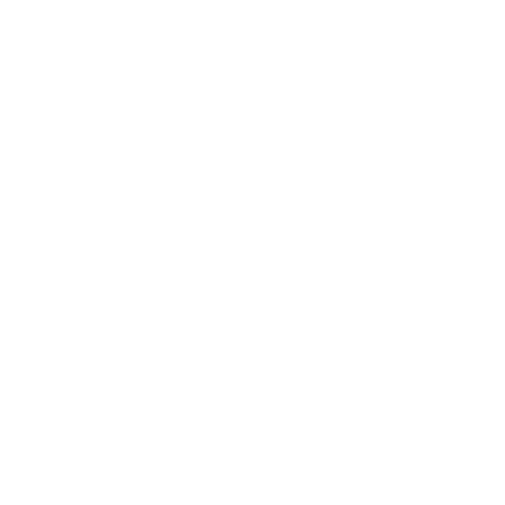 spurs logo
