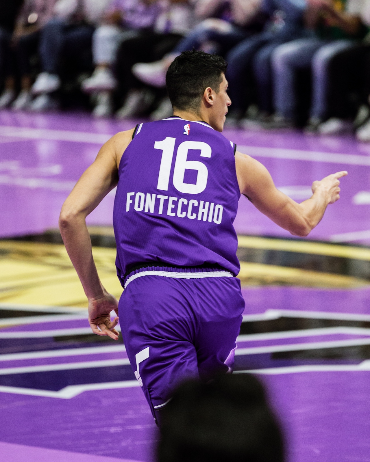 snipes court purple