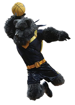 Grizz (Memphis Grizzlies), the #1 mascot in the NBA