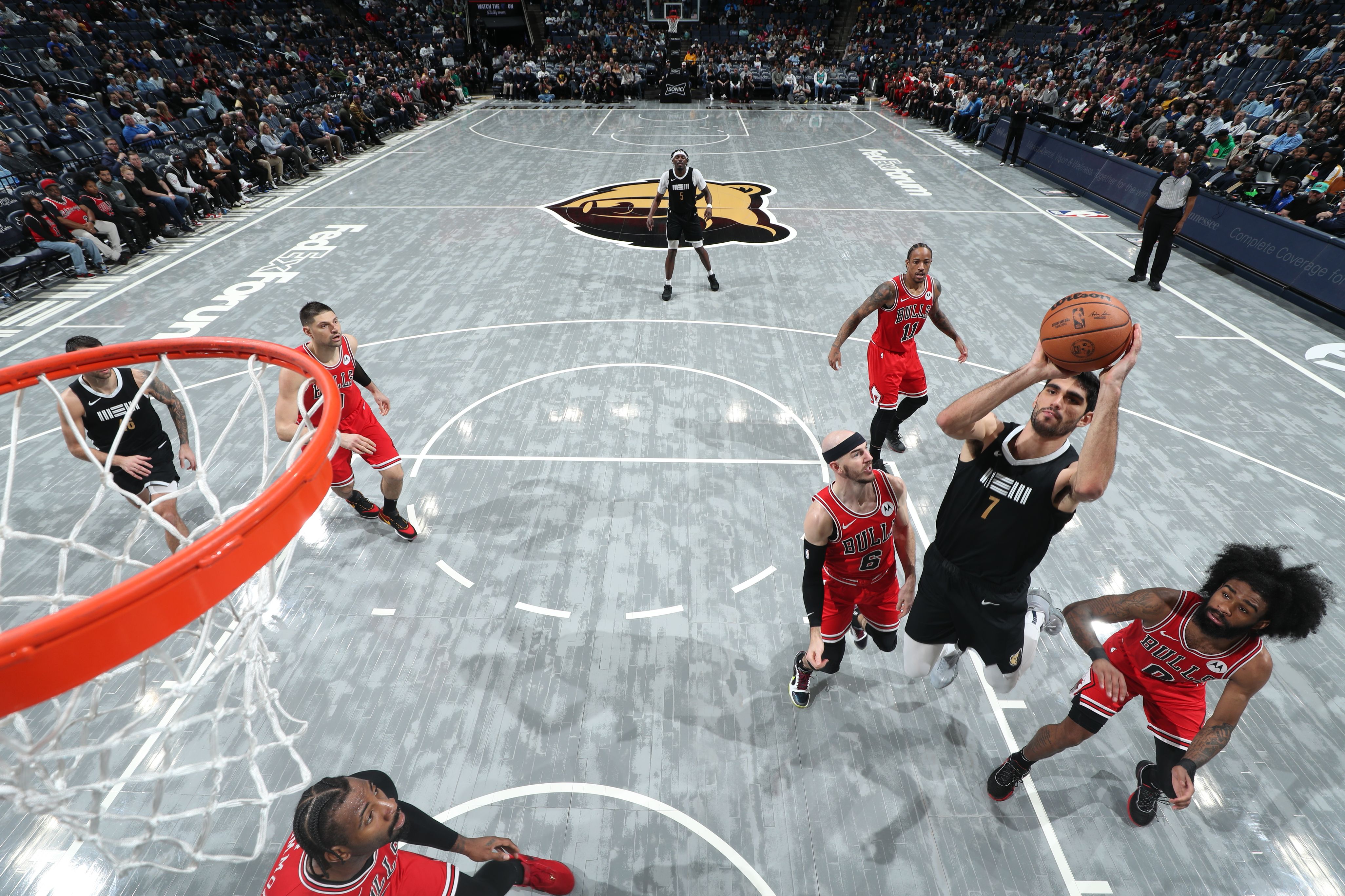 The Game That Defined A Dynasty? Bulls Vs. Grizzlies 1995 - elzeows