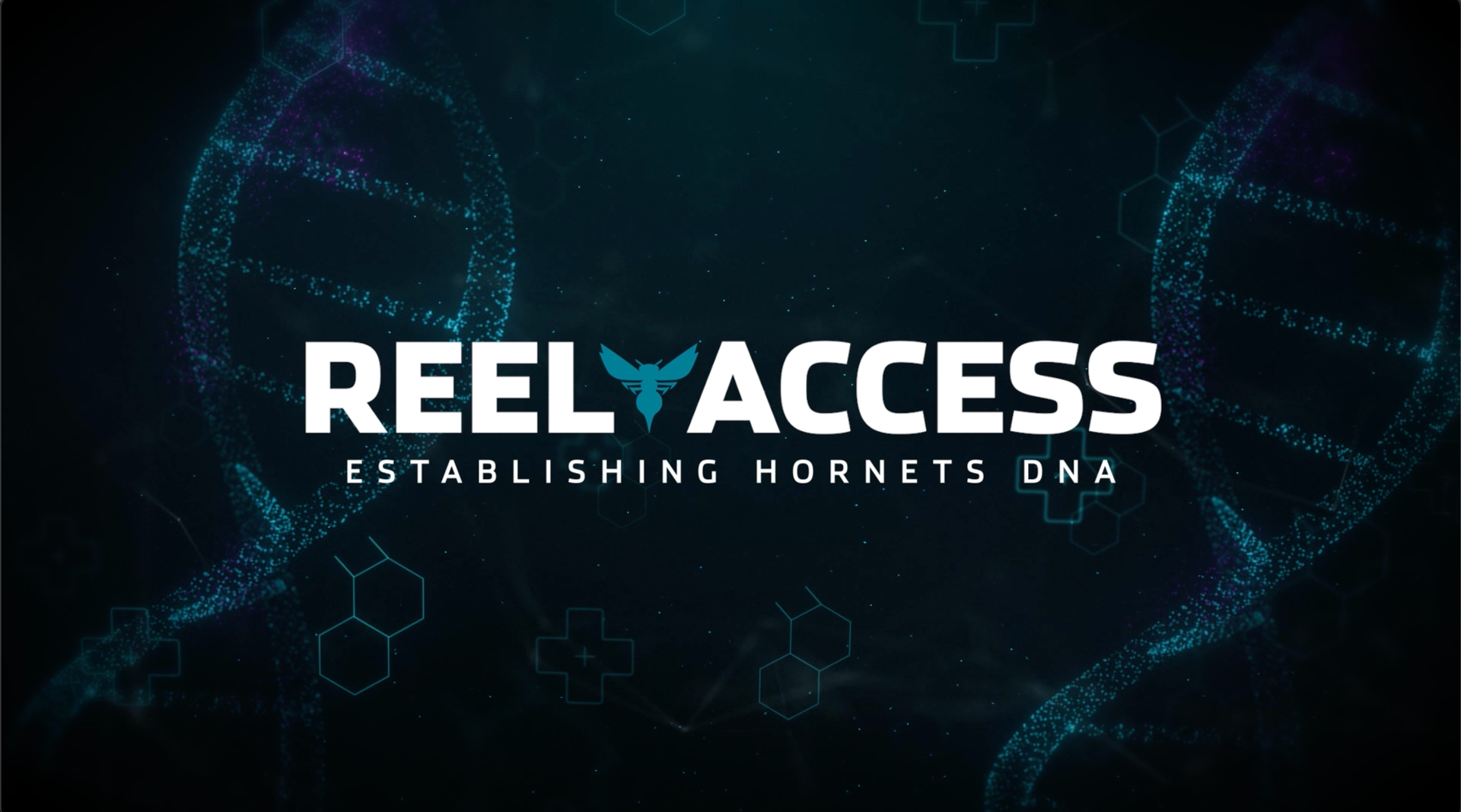 | Charlotte Hornets